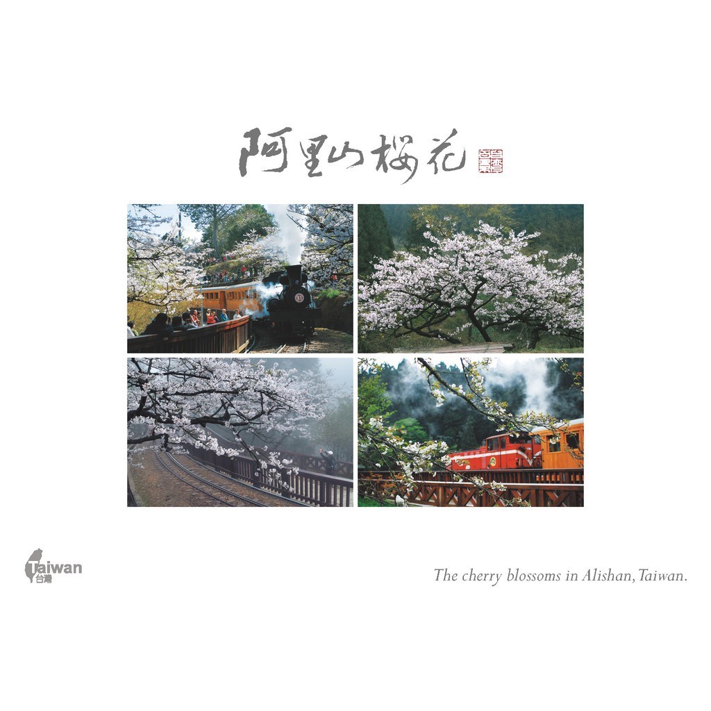 【人人】明信片  單張4宮格『阿里山櫻花』  人人出版官方商城  F028