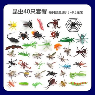 🔥拼全臺灣最低價🔥40衹軟膠動物崑蟲玩具模擬蝴蝶崑蟲模型蜜蜂兒童早敎認知蚊子玩具