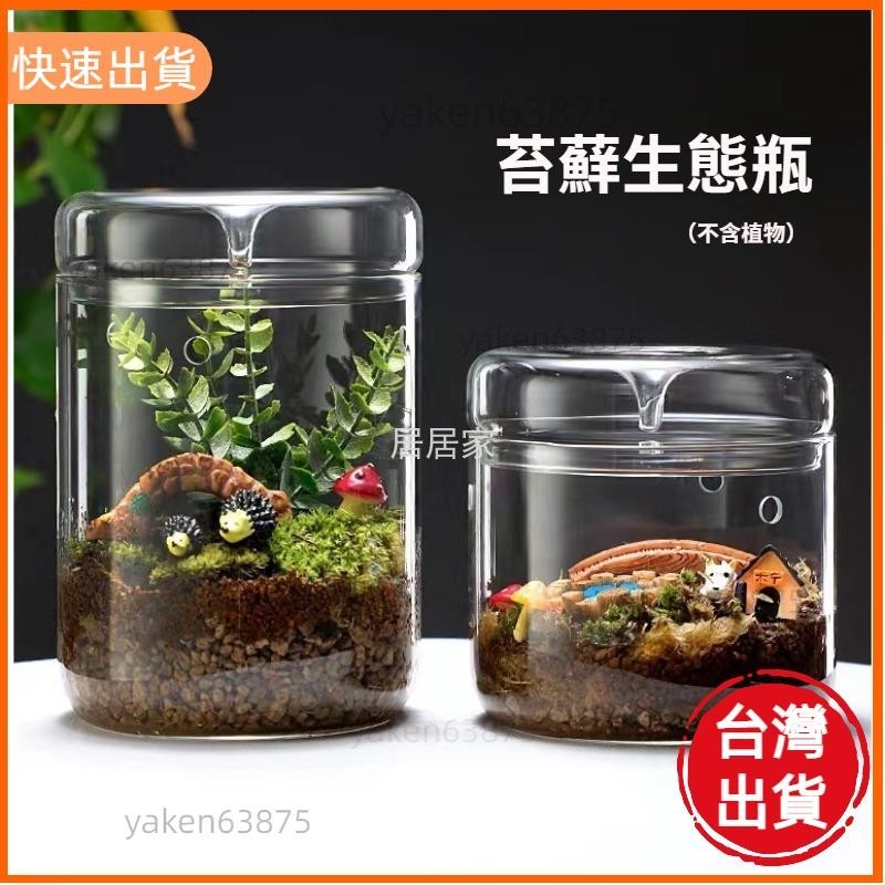 高CP值📣苔蘚生態瓶 高透明玻璃露集杯 植物盆栽盆景生態玻璃瓶 帶孔微景觀玻璃罩 露集蓋玻璃容器 有孔青苔溫室杯 雫雫