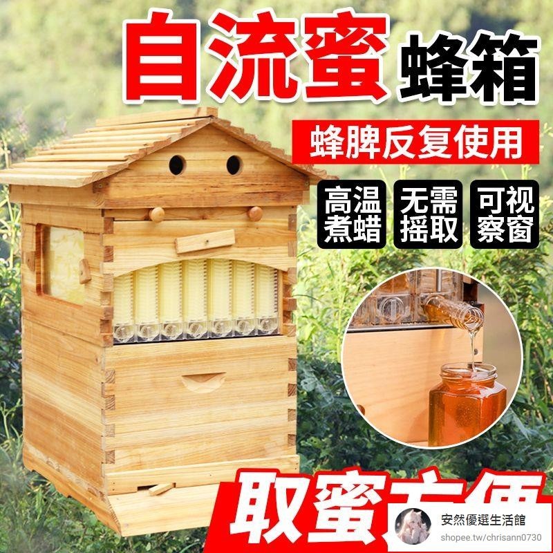 【安然優選】蜜蜂箱自流蜜全套養蜂箱雙層帶巢框自動取蜜器意蜂養蜂工具蜂大哥
