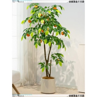 可開發票 模擬檸檬樹 綠植盆栽植物 服裝店綠植櫥窗裝飾 仿生假綠植 橘子樹