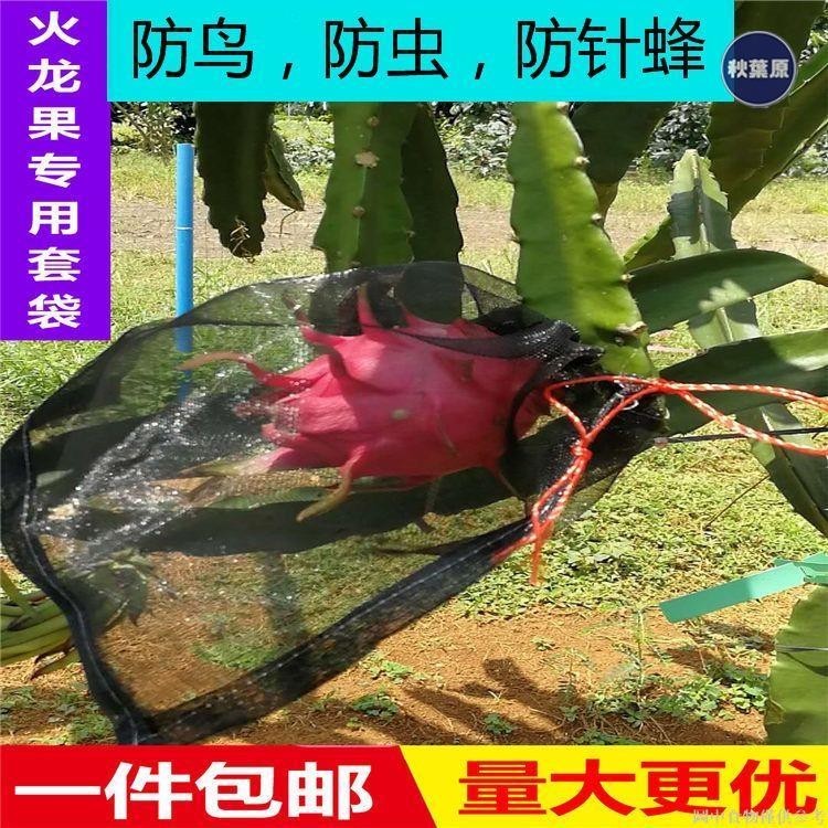 💯低惠多⚡️水果套袋 尼龍 網袋 種子袋火龍果套袋專用套果袋葡萄套防果蠅防鳥 水果袋