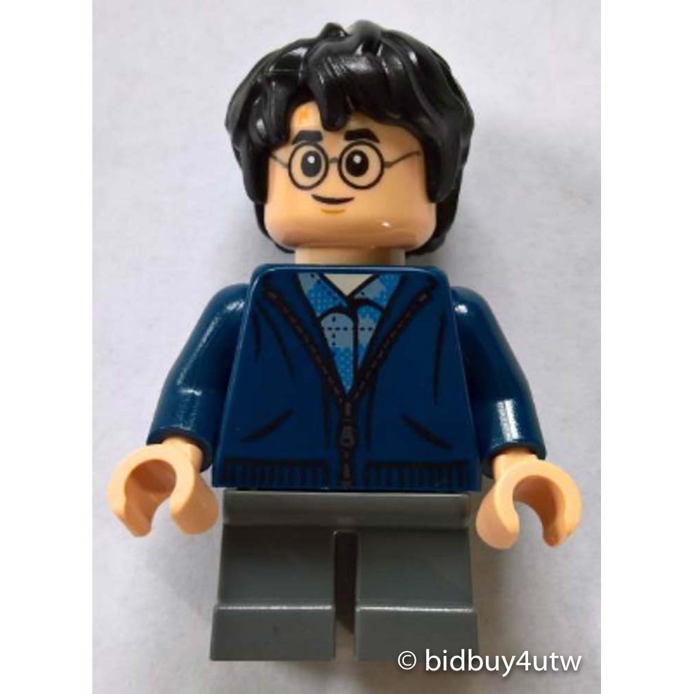 LEGO人偶 HP153 Harry Potter (75950, 75955) 樂高哈利波特系列【必買站】 樂高人偶