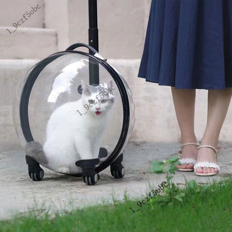 宠物外出包拉杆箱便携透明猫咪猫包太空舱狗狗行李箱推车透气
