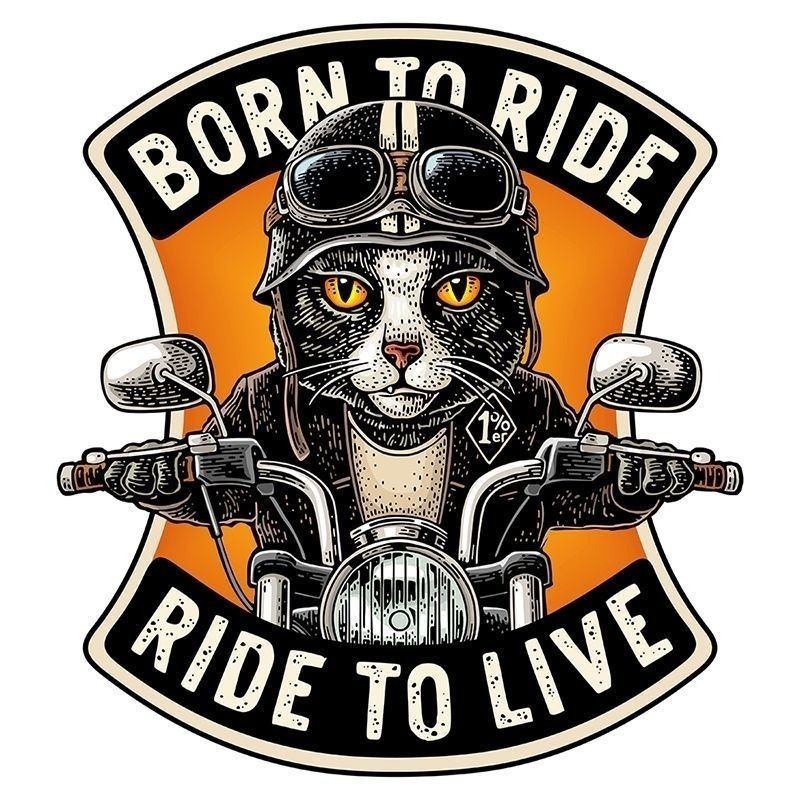 炫酷貓咪騎士創意車貼哈雷摩托車電動車裝飾貼個性網紅卡通防水貼