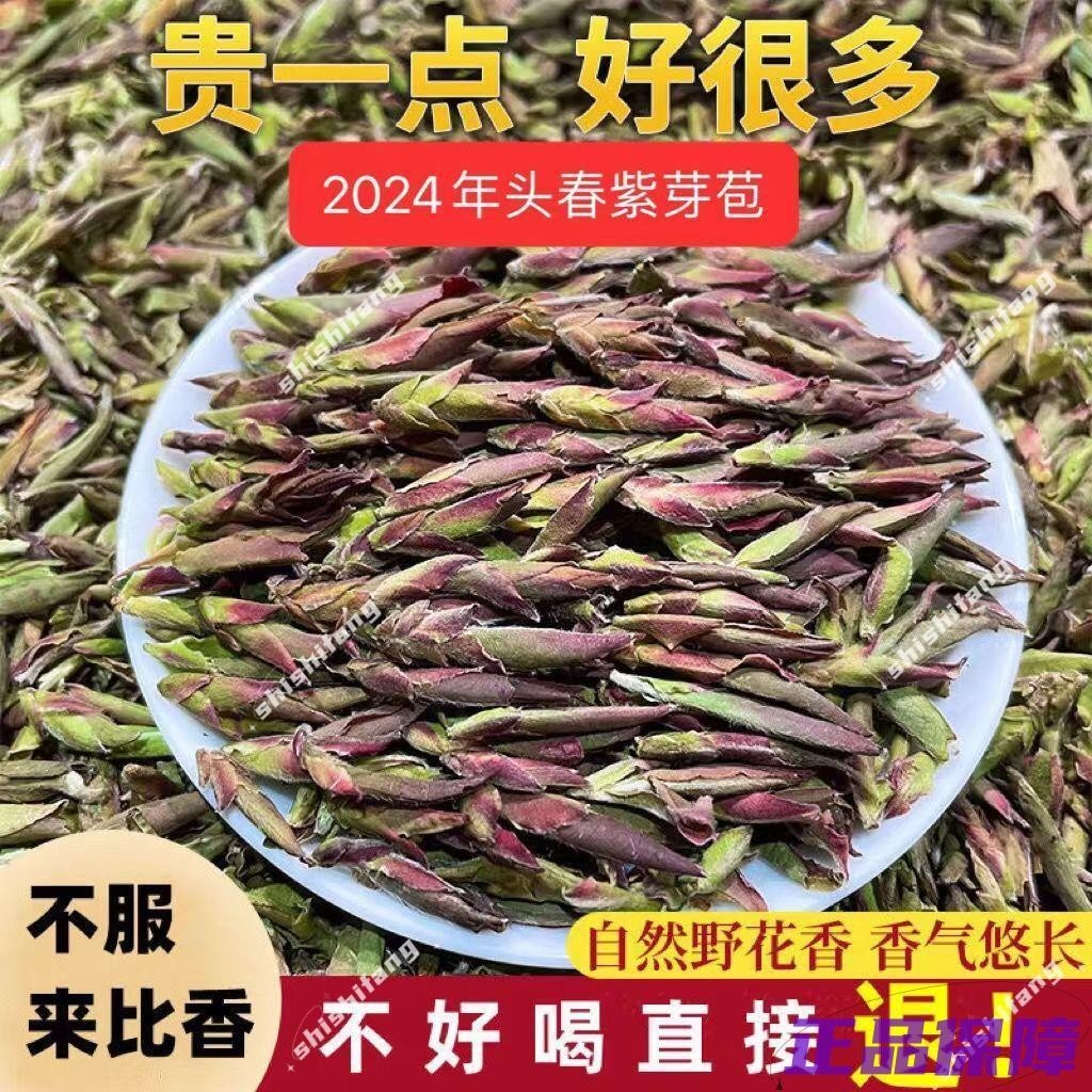 【滿額免運】2024年雲南頭春茶野生紫芽苞茶古樹白芽孢茶普洱茶生茶野花香散茶zg