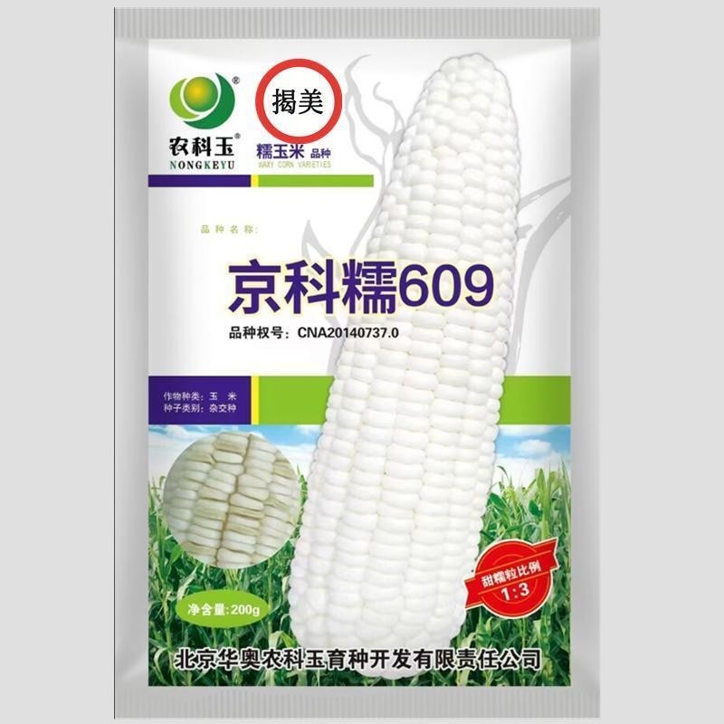 種子 京科糯609雜交一代甜糯玉米種子 糯甜比例31白色玉米 加甜糯玉米/種籽