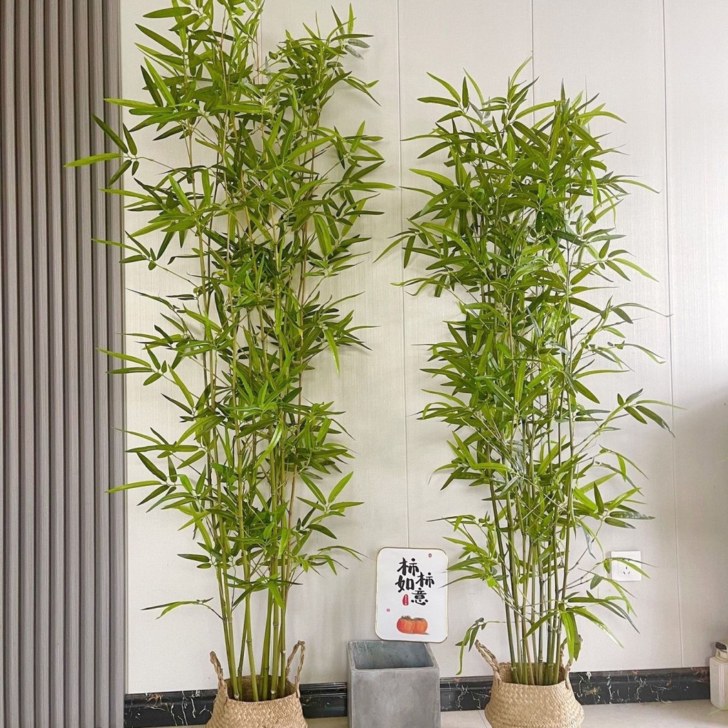臺灣熱賣仿真竹子室內裝飾假竹子隔斷屏風擋墻造景室外裝飾竹加密綠植