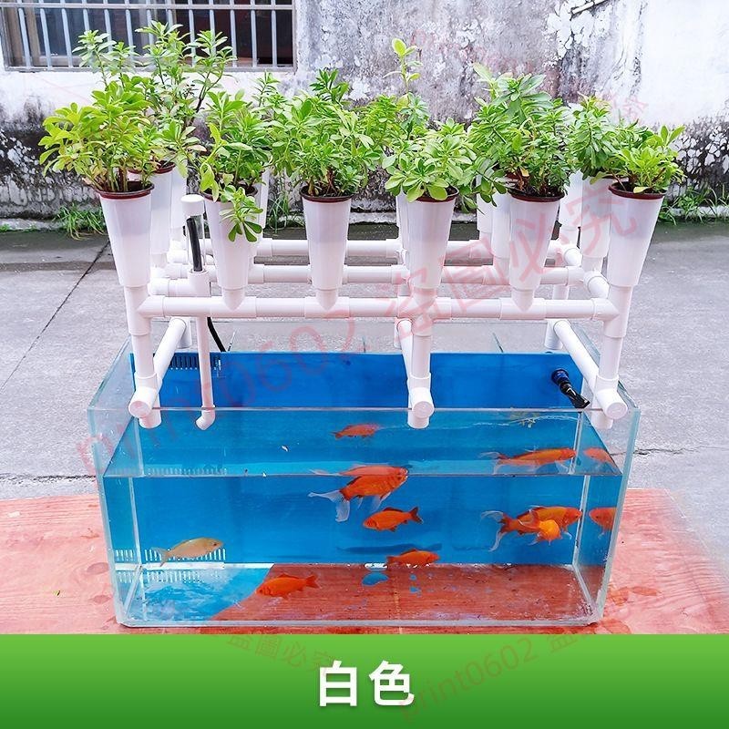 學校家庭樓頂陽臺魚菜共生設備簡易立體水培潮汐循環多層種植架print0602