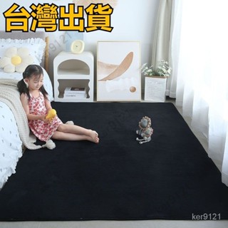 臺灣出貨 客製化 地毯 珊瑚絨地毯 地毯地墊 地墊 黑色白色地毯 短毛地毯 滿鋪大地毯 臥室床邊地毯 大地毯 長地毯