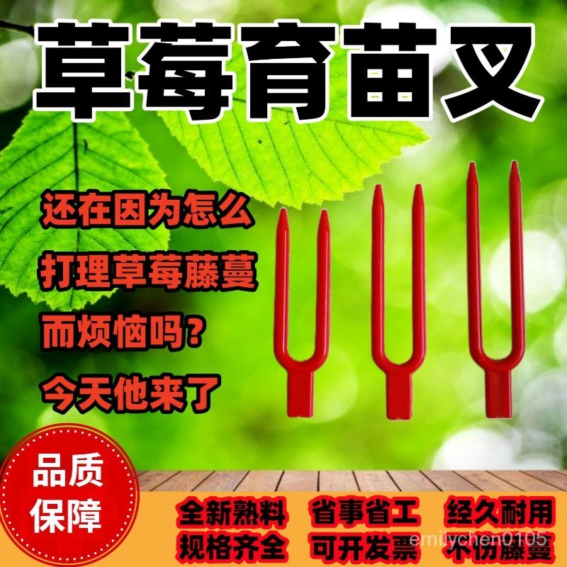 【1000個價】草莓育苗叉 草莓叉 草莓苗固定叉子 塑料叉子藤蔓固定器 農用壓枝神器 🌸思思優選🌸 可開票