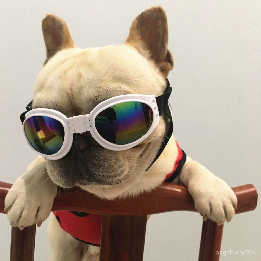 大狗眼鏡 寵物眼鏡 小型犬 寵物護目鏡 寵物防風鏡可折疊眼鏡創意咪防護眼鏡滑雪鏡太陽鏡護目鏡防風