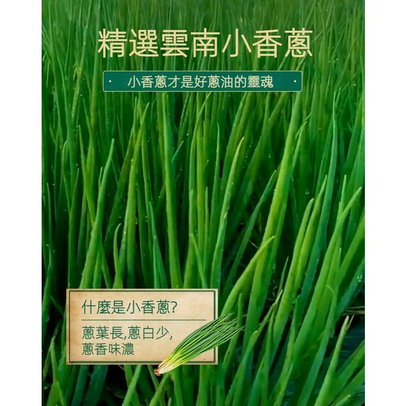 『一笑堂』仲景上海蔥油醬蔥油拌麵醬蔥油汁拌飯醬懶人麵條醬料小包裝30g調味料 調味粉 底料 酱 醬包 香料 下飯菜 醬