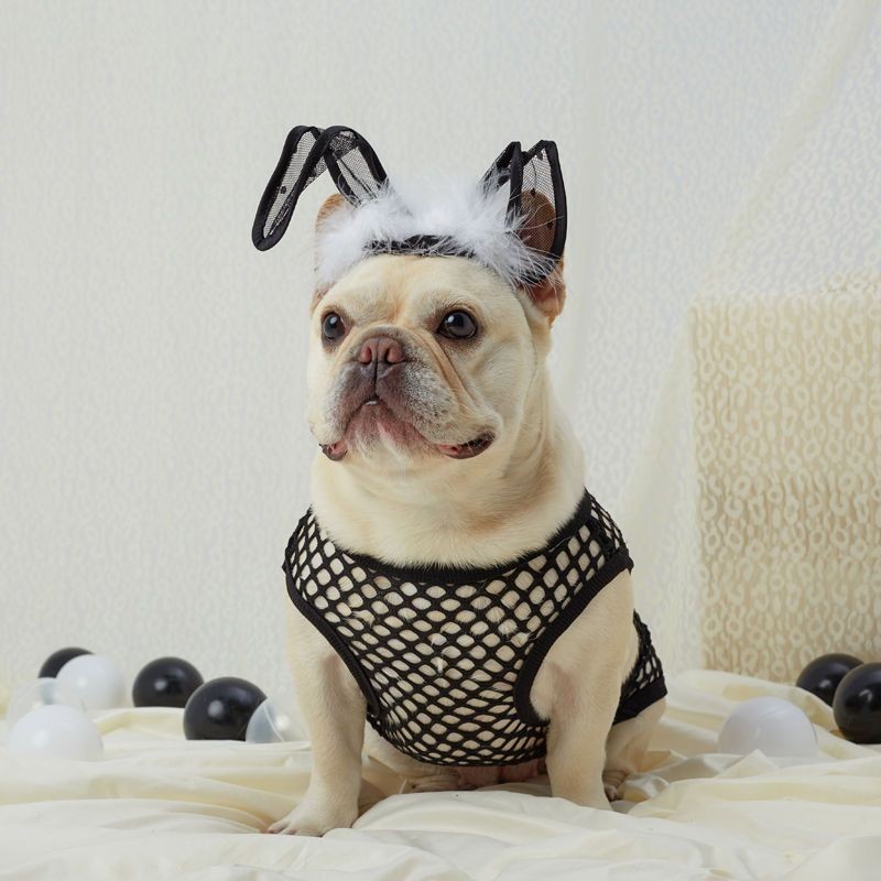 【寵物衣服】 狗狗衣服 夏天可愛搞笑法斗牛背心夏季薄款網眼透氣寵物服飾小型犬