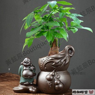 好物與您分享 葫蘆花盆 禪意造景盆 陶瓷紫砂盆景 綠植盆栽盆 新中式陶瓷擺件 陶瓷盆 紫檀黑鬆鐵樹造景 #酷潮聯盟