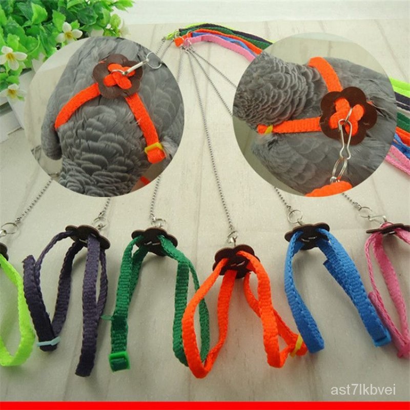 鸚鵡牽引背帶 外出繩 鳥牽引繩 灰鸚鵡 中大型鸚鵡 牽引繩 飛行繩 彈性好 不傷鳥 訓練用品 訓練繩索