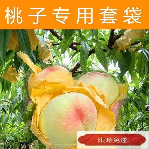 【下殺】桃子專用套袋水蜜桃鼕桃蟠桃黃桃專用紙袋防鳥蟲專用果樹套袋 5