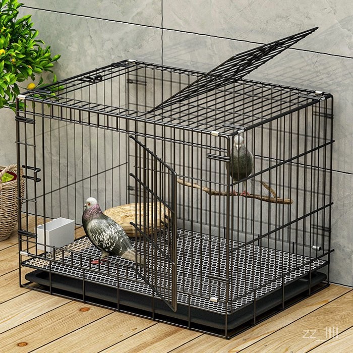 🔥臺灣熱賣🔥鴿子籠傢用超大加密防鼠雙層大空間兔籠子自進鴿籠喜鵲鸚鵡鳥籠子