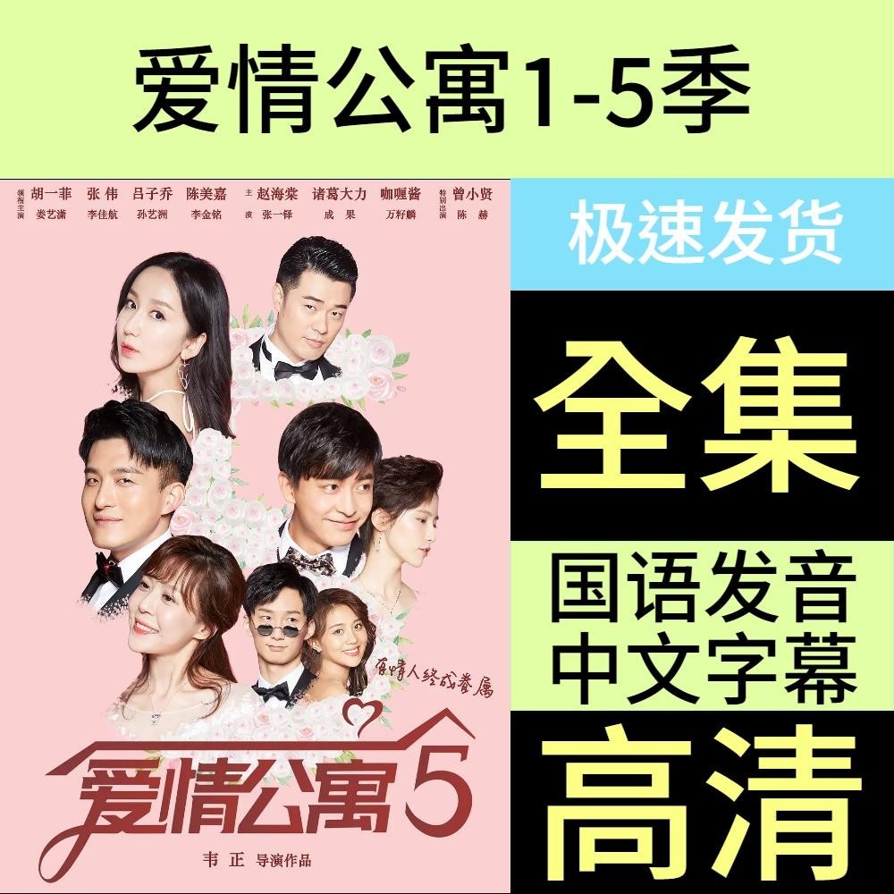 【丹丹百貨】愛情公寓1-5季國產電視劇優盤婁藝瀟陳赫李金銘孫藝洲全集2024