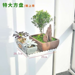💥 頂天立地花架配件 花託盤 圓花託 方花託 翅膀掛臂