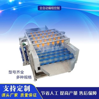 【限時搶購*詳情諮詢客服】清洗機 多功能果蔬氣泡清洗機 蘋果柑橘清洗紅薯土豆全自動清洗毛輥噴淋