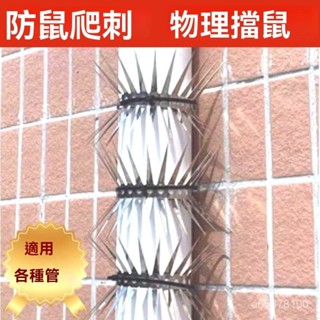 臺灣免運 水管防鼠爬刺 防老鼠爬 天然氣管道防鼠貓 爬刺神器網釘 防鼠網 防蛇 防貓 防鼠刺 防鼠神器 水管