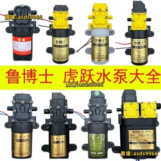 🔥公司貨可開票🔥 12V 農用 電動 噴霧器 水泵隔膜泵智慧高壓自吸泵大功率噴霧器打藥機馬達
