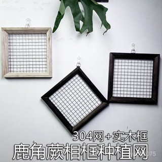 空氣鳳梨鹿角蕨實木相框 網紅種植闆網 掛網 304掛闆植物種植網上闆 實木DIY 木闆 木框 蕨類 上闆