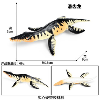 🥂模擬動物🥂模擬海洋動物恐龍模型塑膠擺件兒童實心侏羅紀恐龍玩具滑齒龍滄龍