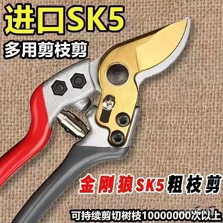 🔥臺灣出貨-熱賣中🔥日本SK5 滑輪多功能園藝剪刀 修枝剪 果枝剪 園藝剪 樹剪 花剪 高枝剪 樹枝剪 花藝剪刀 園藝工