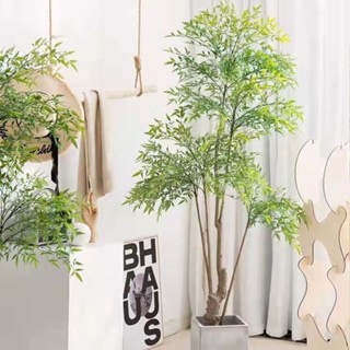 【模擬 爆款熱賣】免稅南天竹模擬綠植假植物盆栽落地仿生綠植客廳裝飾擺件假樹模擬樹 UOYJ