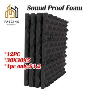 12PCS Studio Acoustic Foam Sound Proofing Acoustic Panel Sou