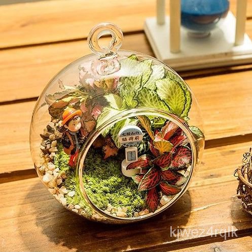 臺灣熱銷✨ 微景觀diy材料生態苔蘚植物 盆栽綠植生態 瓶多肉植物玻璃禮品套裝