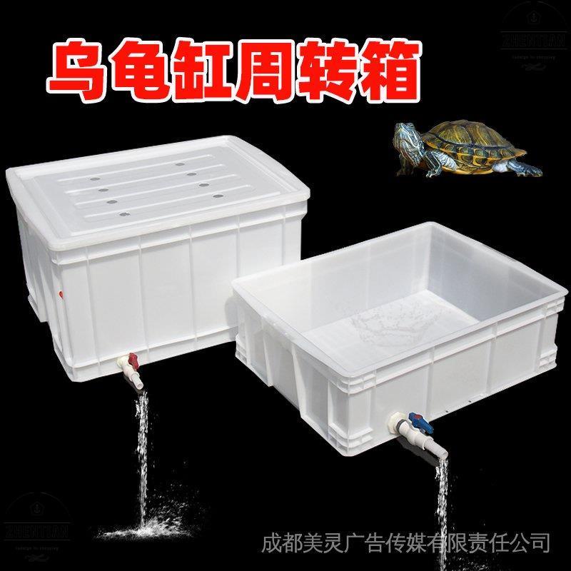 台＃🎆🎆🎆👚食品級白色週轉箱箱 養烏龜塑膠箱 帶排水閥側排養魚水產養殖塑膠箱