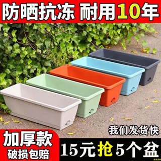 園林用具❥🔥霍倫盆陽臺種菜專用盆長方形花盆草莓蔬菜種植箱塑膠花盆特價清倉