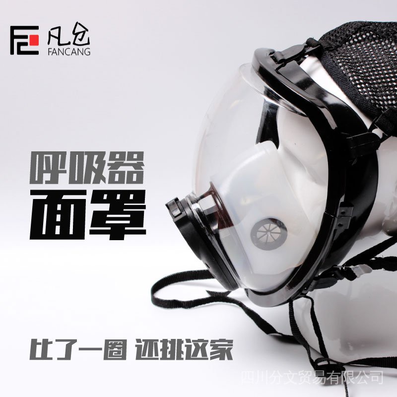 防毒面罩/呼吸器全面罩/空氣呼吸器配球形全面罩/電動送風面罩