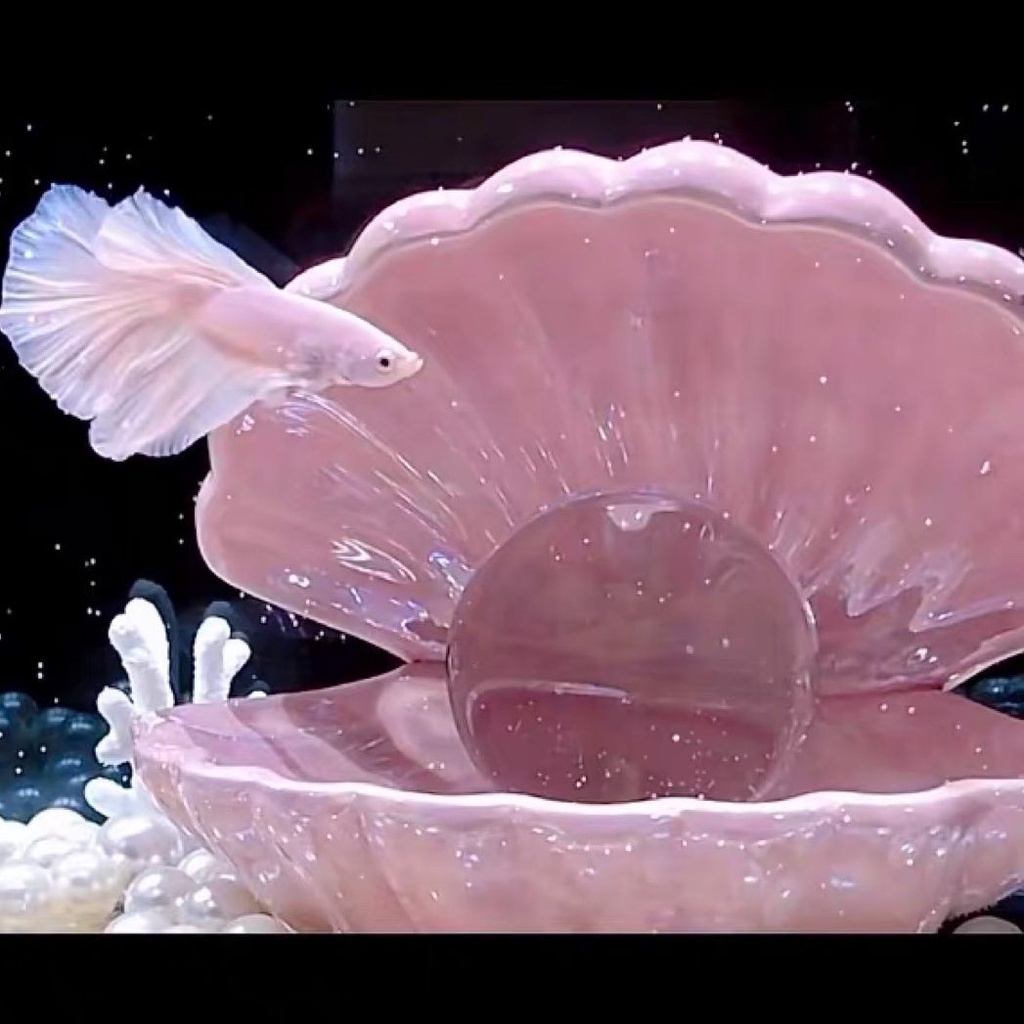 ⚡安安你好⚡魚缸造景大號貝殼魚缸創意微景觀半月鬥魚海底世界貝殼造景裝飾女生擺件