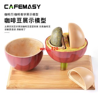 咖啡豆模型模擬咖啡豆子裝飾咖啡廳擺件教學用具裝飾咖啡器具