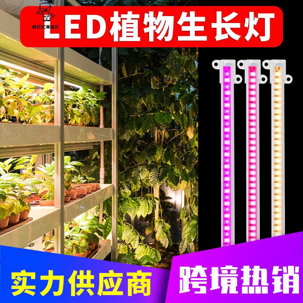 錢記-全光譜LED植物生長燈管USB可調光定時5V室內家用水培植物燈條園藝花卉幼苗植物種植櫥櫃架專用補光燈防水太陽光防徒