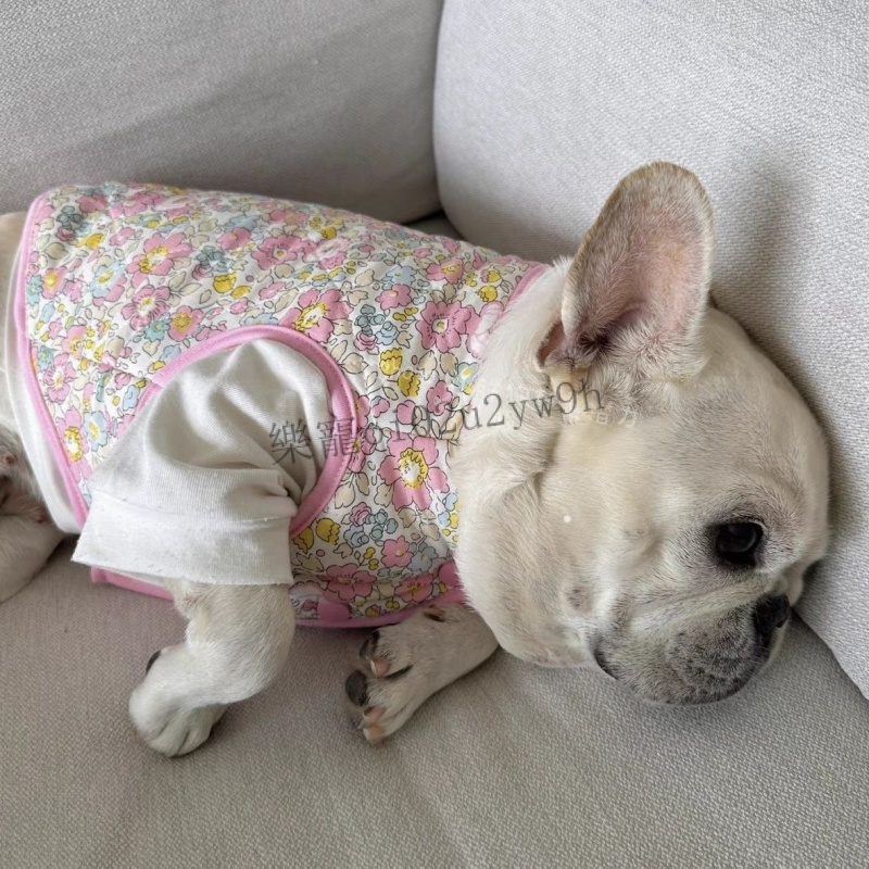 小狗衣服 寵物衣服 狗狗保暖衣服 法鬥巴哥衣服 小型犬 法鬥棉服巴哥棉襖寵物狗狗棉衣秋冬季外套保暖大碼胖狗衣服包郵