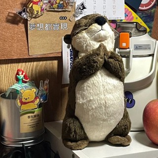 臺灣發貨 祈福 小水獺 玩偶娃娃 公仔 毛絨玩具 抱枕 兒童 生日禮物 女生 聖誕節 平安 可愛