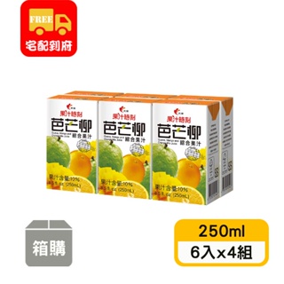【光泉】果汁時刻芭芒柳汁(250ml*6入x4組)