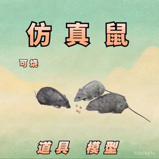 💯桃園出貨✔️假老鼠真皮模擬老鼠動物模型道具玩偶嚇人整盅神器假耗子飾品擺件