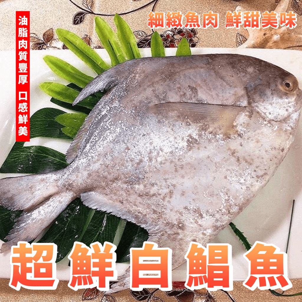 【潮鮮世代】超鮮 白鯧魚 大白鯧 重量：300-400克