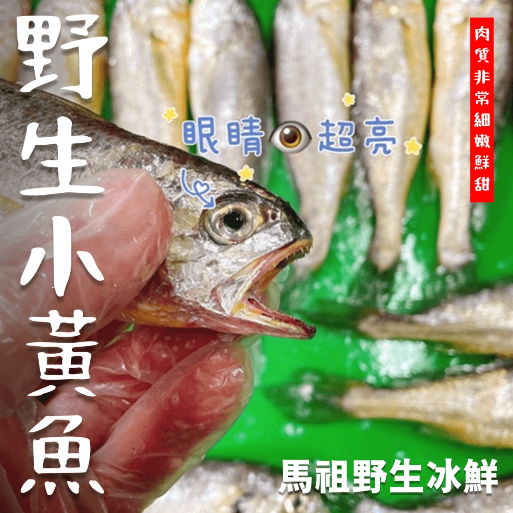【潮鮮世代】 最新到貨🔥馬祖野生冰鮮小黃魚 1公斤