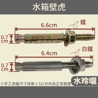 【水玲瓏】鐵 ST 水箱壁虎 1/4"*2 1/2長 白鐵 水箱 壁虎 白鐵壁虎 不鏽鋼 膨脹螺絲 鐵壁虎 螺絲