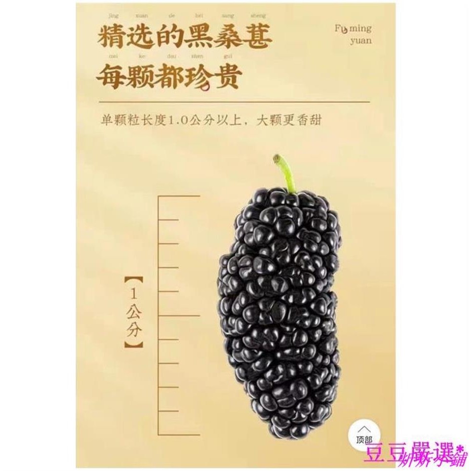 炘炘小鋪 【精選桑葚乾】特級大果 新疆無沙免洗桑葚花草茶500G