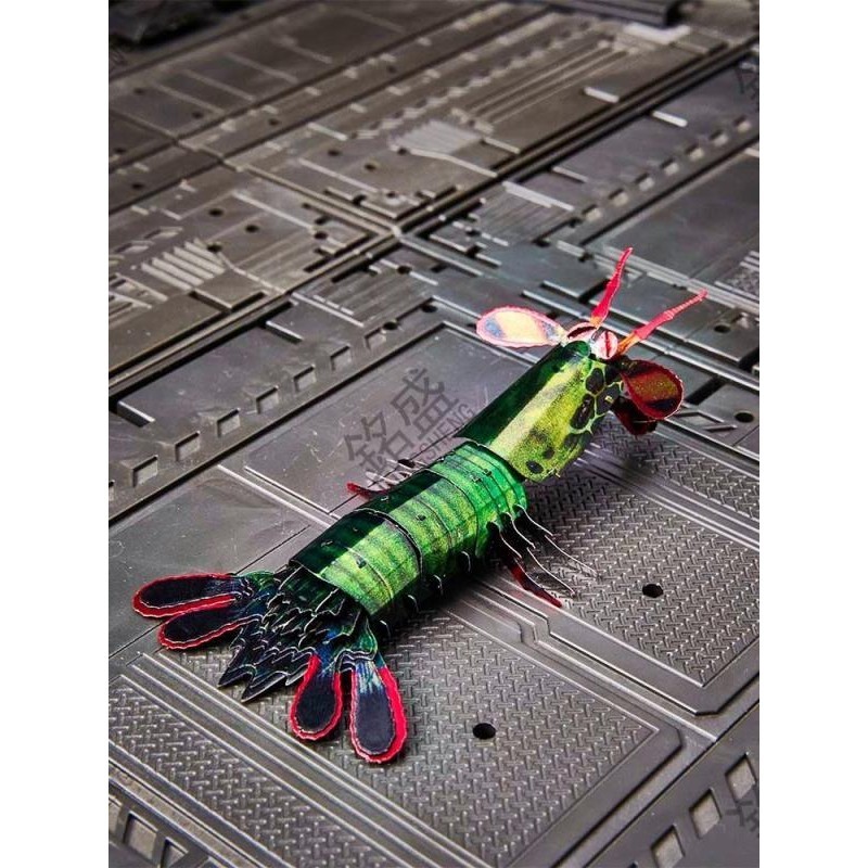 ✨台灣出貨✨皮皮蝦我們走 雀尾螳螂蝦全金屬DIY創意拼裝模型3D立體拼圖昆蟲