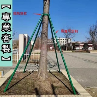 免運🚛支撐架 苗木樹木支撐固定器 樹木固定支架 樹撐支撐桿 果樹園林防風 苗木支撐架 鍍鋅烤漆鋼管 樹木支撐架可開發票