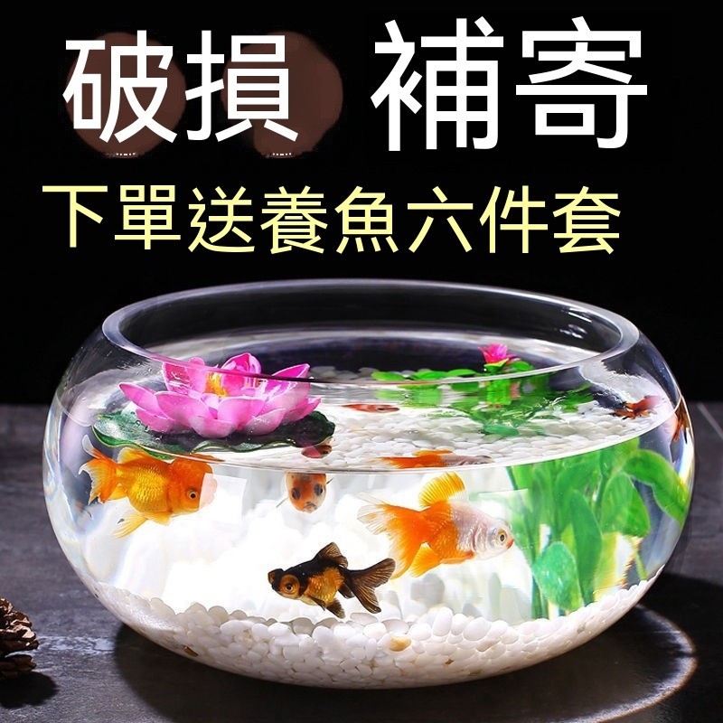 圓形魚缸 水切缸 球形水族缸 圓球玻璃小費箱 球型玻璃花器 玻璃花盆 球型花瓶 養魚植栽專用缸